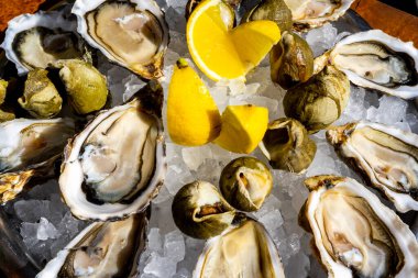 Taze istiridye ve buzlu limon tabağı. Yüksek kalite fotoğraf