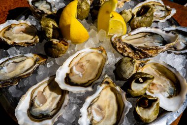 Taze istiridye ve buzlu limon tabağı. Yüksek kalite fotoğraf
