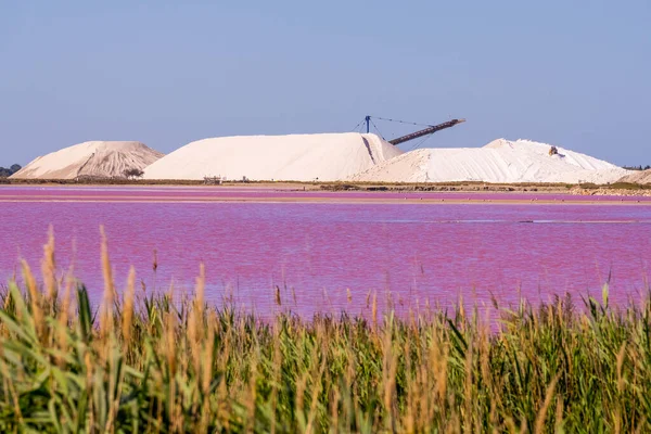 Salt production, pink lagoon and hills in the Mediterranean sea is located in Aigues-Mortes . Camargue, France. Hight quality photo. High quality photo