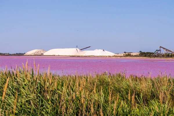 Salt production, pink lagoon and hills in the Mediterranean sea is located in Aigues-Mortes . Camargue, France. Hight quality photo. High quality photo