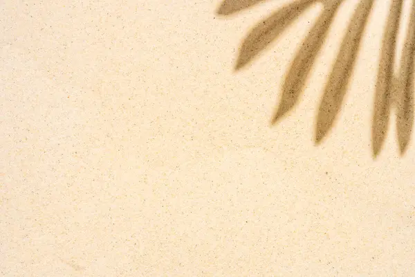 Bakgrund Palmbladsskugga Ljus Strand Sand Med Plats För Text Högst — Stockfoto
