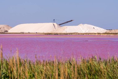 Akdeniz 'de tuz üretimi, pembe lagün ve tepeler Aigues-Mortes' de bulunur. Camargue, Fransa. Kaliteli bir fotoğraf. Yüksek kalite fotoğraf