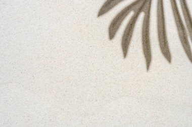 Palmiye yaprağının arka plan gölgesi açık kumsaldaki kumsalda yazı yazılacak bir yer. Üst Manzara. Yüksek kalite fotoğraf