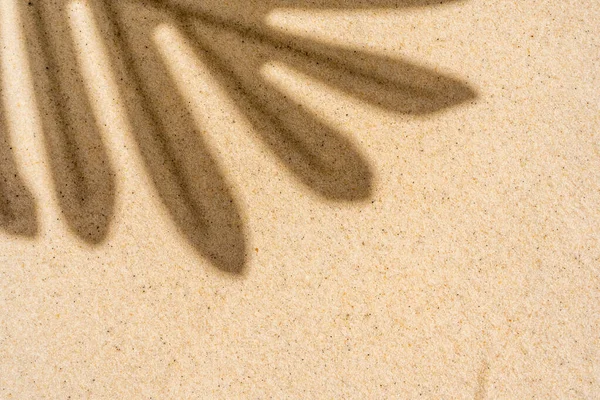 テキストのための場所と光のビーチの砂の上のヤシの葉の影の背景 最上階だ 高品質の写真 — ストック写真
