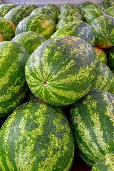 Freshly picked watermelons. Fresh summer fruit. High quality photo