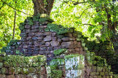 San Ignacio, Misiones, Arjantin harabelerindeki duvarlar, sütunlar, bitkiler ve ağaçların detayları
