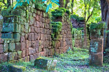 San Ignacio, Misiones, Arjantin harabelerinde yosun ve eğreltiotu olan duvarlar ve sütunlar.