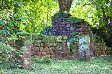 San Ignacio, Misiones, Arjantin harabelerinde duvarlar, sütunlar, bitkiler ve ağaçlar