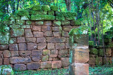 San Ignacio Harabeleri, Misione, Arjantin 'deki yosun ve eğreltiotlarıyla kaplı duvarların detayları.