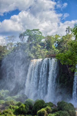 Iguazu Şelaleleri, Misiones, Arjantin 'deki şelale ve ağaçlar