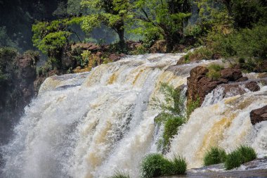 Iguazu Şelaleleri, Misiones, Arjantin 'deki şelale ve ağaçlar