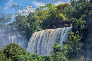 Iguazu Şelaleleri, Misiones, Arjantin 'deki şelale ve ağaçlar