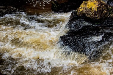 Iguazu Şelalesi, Misiones, Arjantin 'deki kayaların detayları