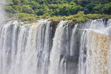 Iguazu Şelalesinin kenarında, Misiones, Arjantin
