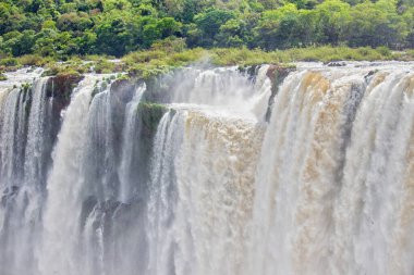 Iguazu Şelalesinin kenarında, Misiones, Arjantin