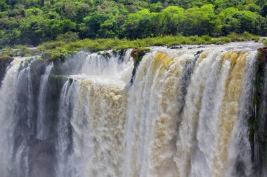 Iguazu Şelalesinin kenarında, Misiones, Arjantin