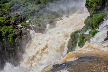 Iguazu Şelalesi, Misiones, Arjantin 'deki bir şelalenin kenarındaki suyun gücü görülüyor.