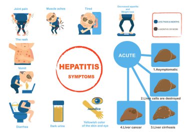 Hepatit belirtileri karaciğer hastalığı gastroenterit. Bilgi grafikleri. Vektör illüstrasyonu 