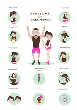 Hamileliğin ilk belirtileri Infographic.vector Illustration