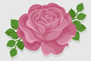 Beyaz arkaplanda izole edilmiş yeşil yapraklı pembe gül vektör çizimi.