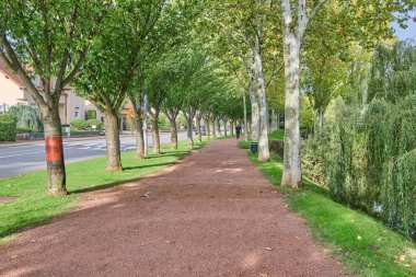Yol boyunca turuncu-kahverengi bir patika var. Kenarlarına ağaçlar dikilmiş. Güneşli, Avrupa