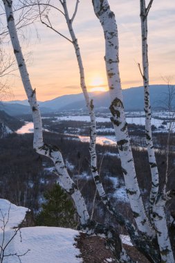 Kış manzarası dağlarda, gün batımı manzarası ve nehir vadisi. Ön planda simetrik dört huş gövdesi