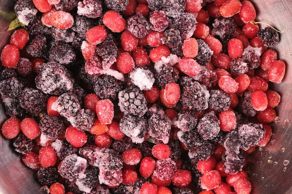 Berry Elaeagnus Multiflora Gumi Blackberry Frozen Close Ice — Foto de Stock