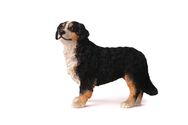 Kutya Figura Játék Bernese Mountain Dog Fából Készült Elszigetelt Fehér — Stock Fotó