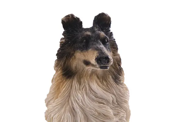 Kutya Lassie Figura Fából Izolátum Fehér — Stock Fotó