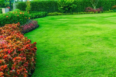 Bahçe tasarımlı ön bahçe, bahçe düzenlemeli balo. Bahar bahçesi, bahçe tasarımı uzun ve kısa çalılar ve güzel yuvarlak şekilli çiçekler. Ortada yeşil çimenler var..