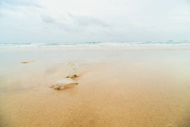 Çöp atık suya neden olur. Deniz çok güzel ama yerleşik olmayan plastik atık deniz ve suda yaşama zarar verebilir. Plastik atık kendi başına çözülebilir değildir..
