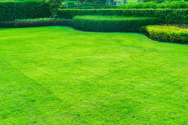 Garden Fresh Green Grass Both Shrub Flower Front Lawn Background — Stock Photo, Image