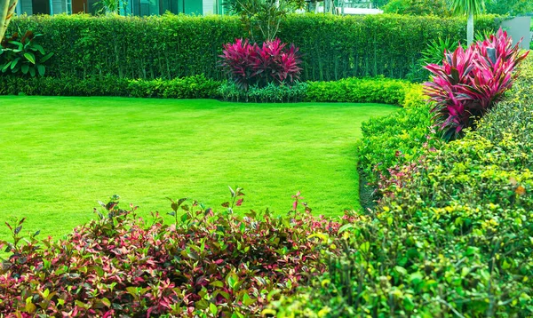 Trädgård Med Färskt Grönt Gräs Både Buske Och Blomma Front — Stockfoto