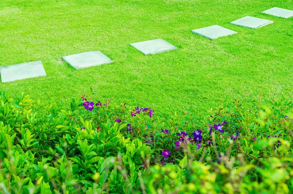 Weiße Gehwegplatte Garten Grünes Gras Mit Zementpfad Kontrast Den Leuchtend — Stockfoto