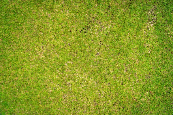 Γήπεδα Γκολφ Γρασίδι Πράσινο Μοτίβο Υφή Φόντο Πράσινο Γρασίδι Υφή — Φωτογραφία Αρχείου