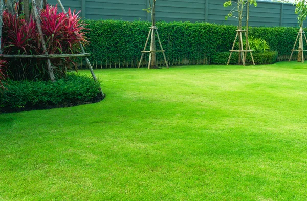 Tuin Met Vers Groen Gras Zowel Struik Bloem Voorzijde Gazon — Stockfoto