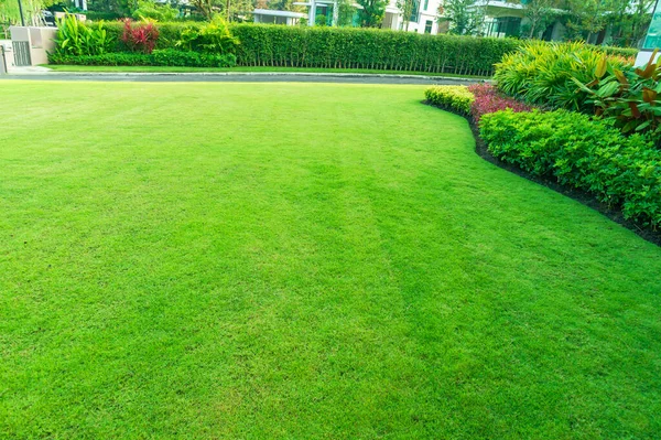 Luxury Modern House Beautiful Landscaped Front Yard Fresh Green Grass — Stock Photo, Image