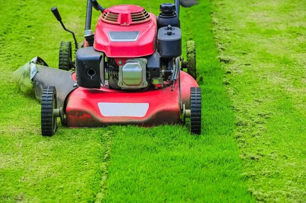 Red Lawnmower Cutting Bright Green Grass Football Fields Backyard Gardening — Stok Foto