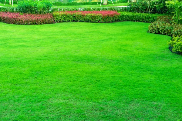 Trädgård Med Färskt Grönt Gräs Både Buske Och Blomma Front Stockfoto