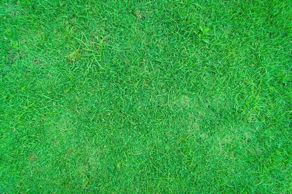 Çimen Golf Sahaları Yeşil Çimen Desenli Arka Plan Yeşil Çimen — Stok fotoğraf