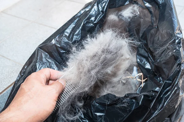 Throwing the dog\'s fallen hair in a black plastic trash bag to prevent the spread of germs. Disposing of fur or waste items needs to be placed in a garbage bag or bin to keep them clean and tidy.