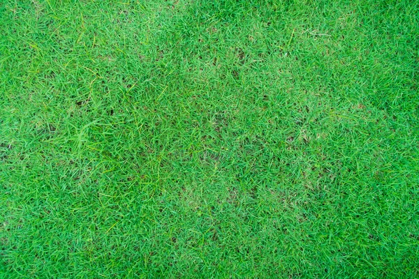 Golfpályák Zöld Gyep Minta Texturált Háttér Zöld Textúra Háttér Fűre — Stock Fotó
