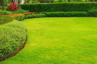 Garden landscape design with tall and low shrubs and Colorful flowers has a beautiful, rounded shape in the middle is green grass,  newly cut lawn lush green with morning sunlight. backyard in spring.