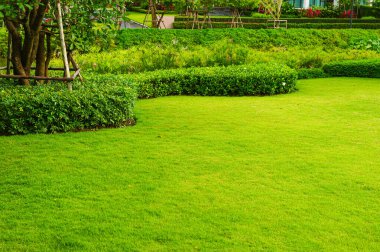 Green lawn, the front lawn for background, garden landscape design. landscape officially, the front lawn is beautifully designed garden.
