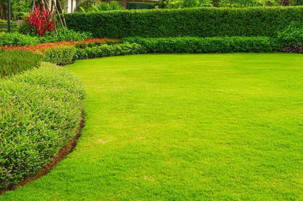 Garden landscape design with tall and low shrubs and Colorful flowers has a beautiful, rounded shape in the middle is green grass,  newly cut lawn lush green with morning sunlight. backyard in spring.