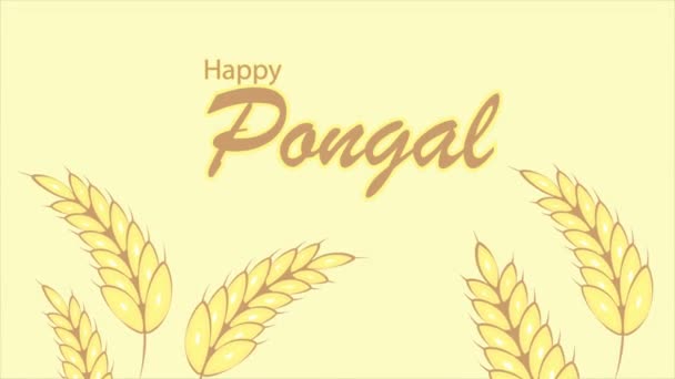 Pongal Mutlu Bayramlar Hasat Festivali Hindistan Buğdayı Sanat Videosu Illüstrasyonu — Stok video