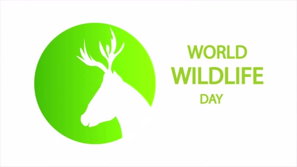野生动物日世界鹿 艺术视频插图 — 图库视频影像