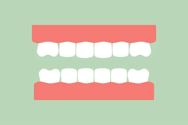 Model Ząb Zdrowych Zębów Wektor Rysunkowy Płaski Styl Ładny Charakter — Wektor stockowy