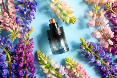 Markasız, siyah, yuvarlak parfüm şişesi ve mavi arka planda çok renkli lupin çiçekleri. Ön manzara, düz yaz yatağı, model, şablon. Eau de Tuvalet.