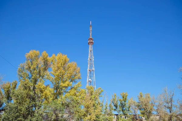 Dev şehir televizyon kulesi antenleri ve sonbahar sarısı yaprakları mavi gökyüzünde. Ön görünüm